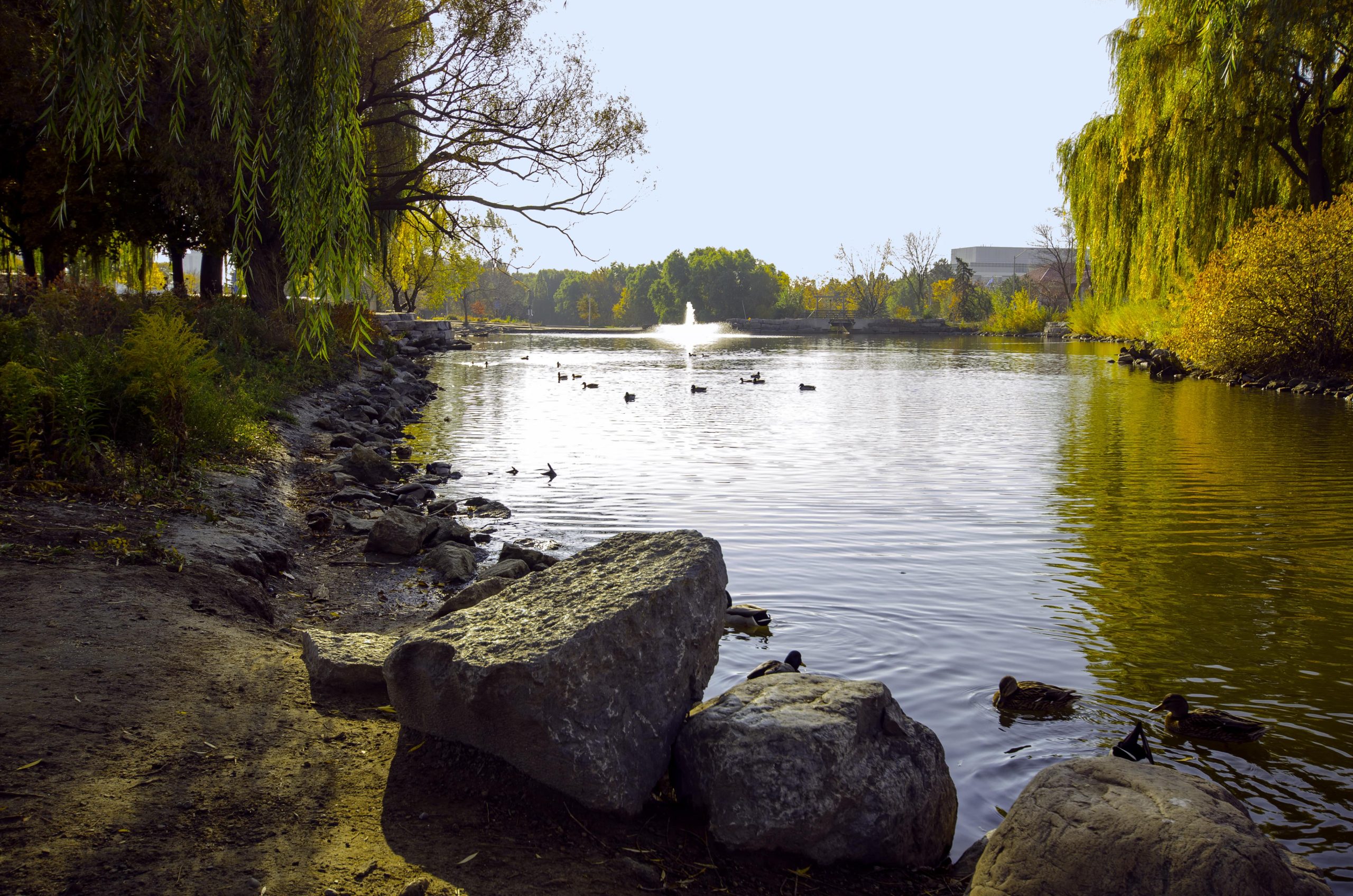 View of a pond and fountain
